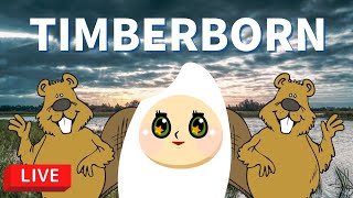 【Timberborn】おこめ、ビーバーの長になる