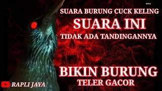 Download lagu SUARA BURUNG CUCAK KELING SUARA BIKIN BURUNG CEPAT GACOR#suaraburungcucak#keling# mp3