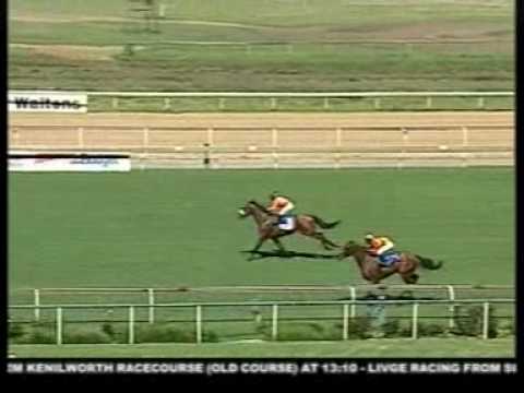 Daily turf (Disa Leader finishes second behind Iron Wood)