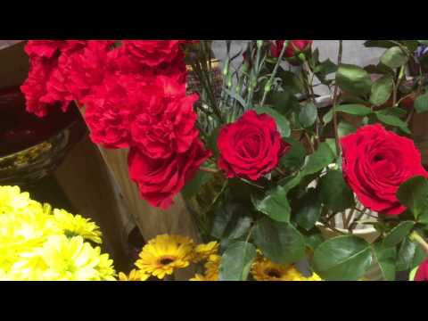 GLOBOTOM - Looking at the Flowers of Avalon (feat. Martin Neuhold)