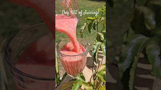 Download lagu #juicing #grapefruit #honeydew #watermelon #lemon #orange #blueberries #ginger #juicerecipes #fruit mp3