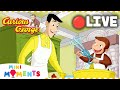 LIVE 🔴 | George Makes Banana Bread 🍞 🍌| Non-Stop Curious George | Mini Moments