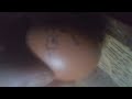 Walk like an egg - The Dickies UNOFFICIAL VIDEO