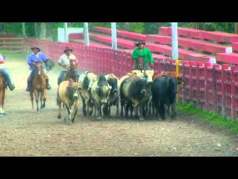 Luis Moreno - El Llano no se ha acaba´o