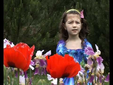 Alexandrina Palcă - Patru zîne