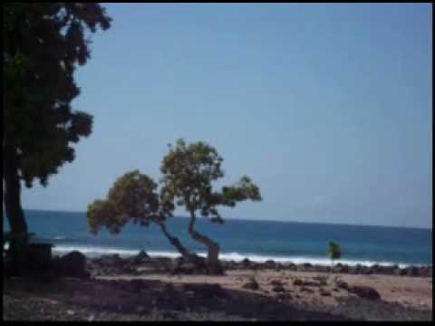 THE FIRM- 100PERCENTREALWORDS.BLOGSPOT.COM