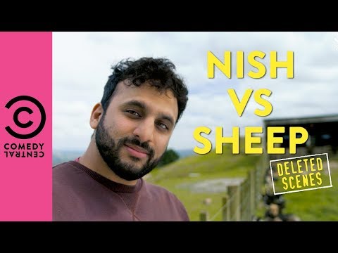 Nish vs Sheep