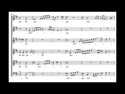 Victoria: Nigra sum sed formosa - Plus Ultra