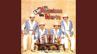 Alegre Me Ando Paseando Lyrics English Translation