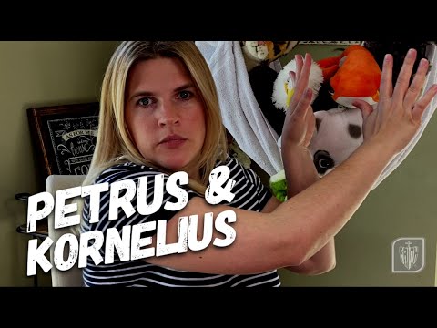 RHEMA KIDS Lektion 8 - Petrus und Kornelius