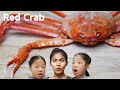 살이 꽉찬 홍게 Red Crab TwinRoozi Family Mukbang 쌍둥이루지 가족 먹방