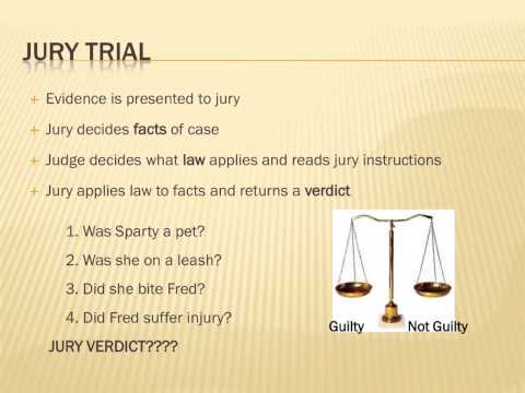 Steps In The Pretrial Process: Detailed Login Instructions| Loginnote Steps In The Pretrial Process: Detailed Login Instructions| Loginnote