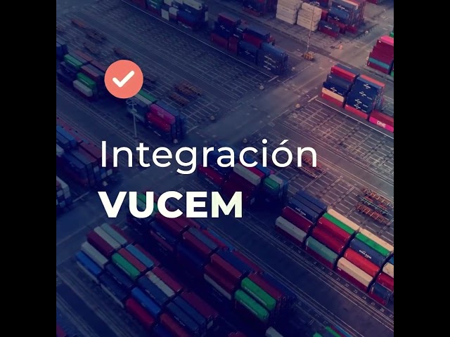 imagen-video-thelogisticsworld