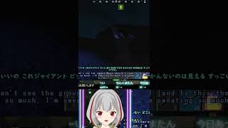 【RUST】始めての夜間飛行でパニック２