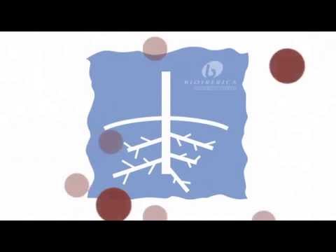 Terra-Sorb radicular