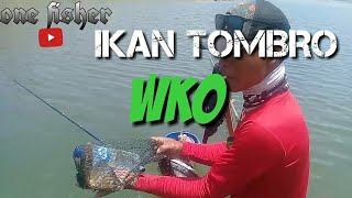Download lagu MANCING IKAN TOMBRO (IKAN MAS ) // WKO mp3