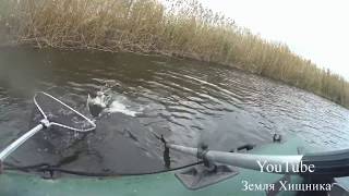 Рыбалка в ростовской области на хищника
