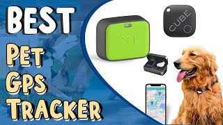 Top 5 Best Gps Pet Tracker In 2022 _ Whistle Go Explore
