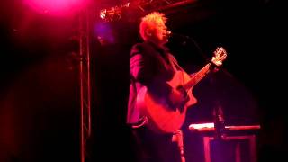 Hold me now - Horse in Rostock 12th June 2011