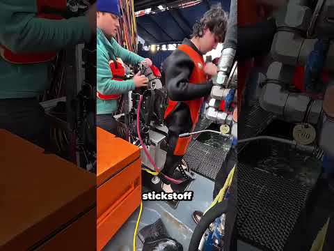 Warum Taucher nicht einfach an die Oberfläche schwimmen können #shorts