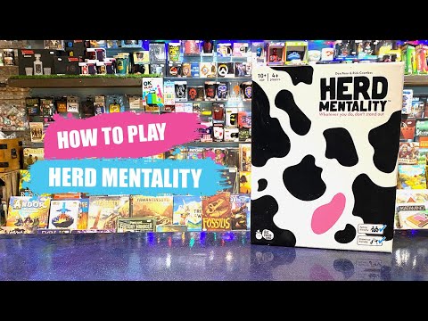 How to Play Herd Mentality | Board Game Rules & Instructions