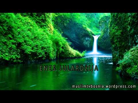 Enes Julardžija - Opasnost jezika