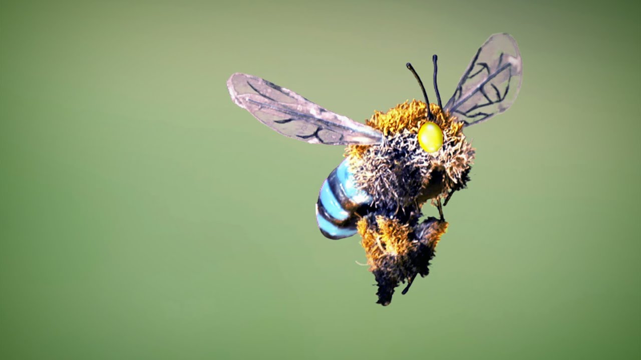 Beethoven: live at Roma Street Parkland -- A Stop Motion Short Film