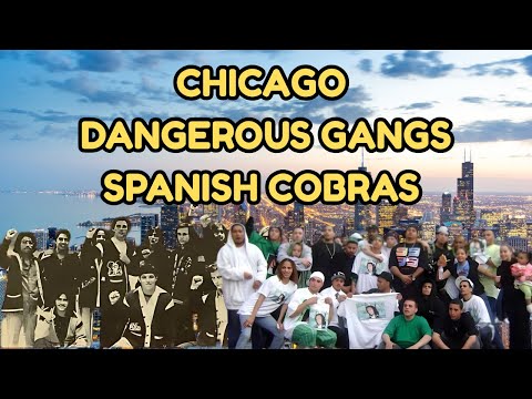 Chicagos gefährlichste Gang: Der Aufstieg der wahnsinnigen spanischen Kobras