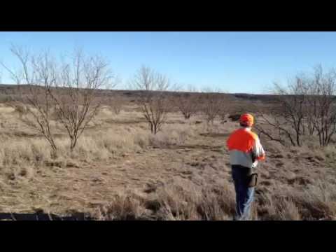 Orvis Endorsed Lodge of the Year Upland Hunt Guided By Orvi