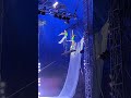 Circus In USA Ultimate Flip Exciting Marvellous Bravo Entertaining Ultimate