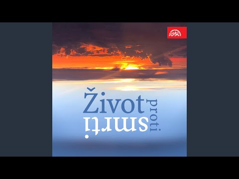 Bílá nemoc. Drama o třech dějstvích - 2. dějství, 6. obraz
