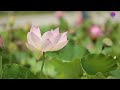 Nalam Nalamariya Aval Priya Ninu Chudaleka Music Recreation Cover Song By Mahesh Adiraju