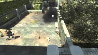 The little twig that could!