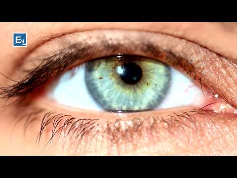 Krijimi i perpikte i syrit deshmon madheshtine e Krijuesit! Informacione brilante rreth syve tuaj!