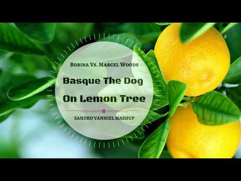Bobina Vs. Marcel Woods - Basque The Dog On Lemon Tree (Sandro Vanniel Mashup)