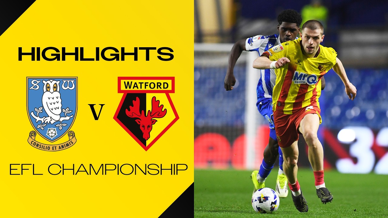 Sheffield Wednesday vs Watford Highlights