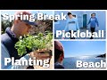 Spring Break Planting Pickleball And The Beach