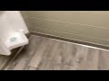 2 991 Menards Unisex Restroom