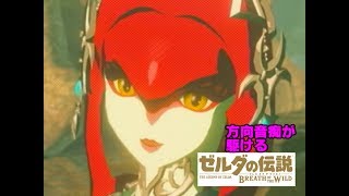 【実況】方向音痴が駆ける！【ゼルダの伝説ブレスオブザワイルド】＃24