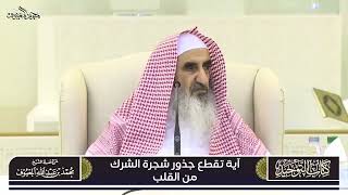 صورة 06 آية تقطع جذور شجرة الشرك من القلب