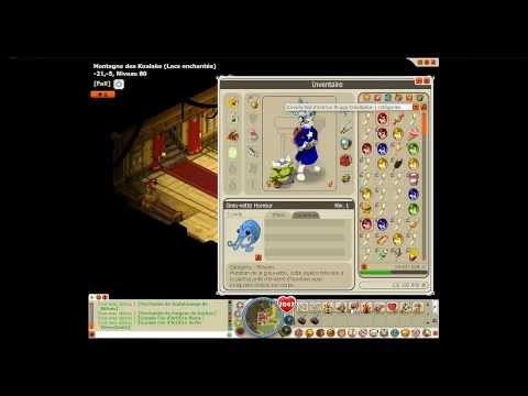 comment emballer un cadeau dofus