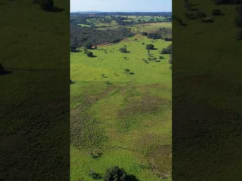 Oportunidade Única: Fazenda 212 Hectares em Patrocínio-MG | Solo Produtivo e Rica em Água💦