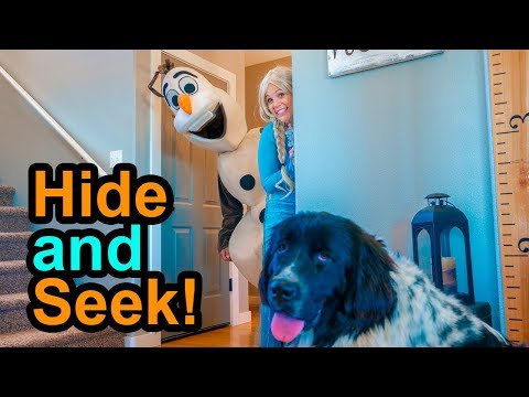 Elsa Plays Hide and Seek with Olaf and Ducky the Puppy