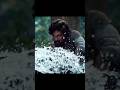 Pushpa 2 WhatsApp Status Pushpa2therulesongs Puspa2therule