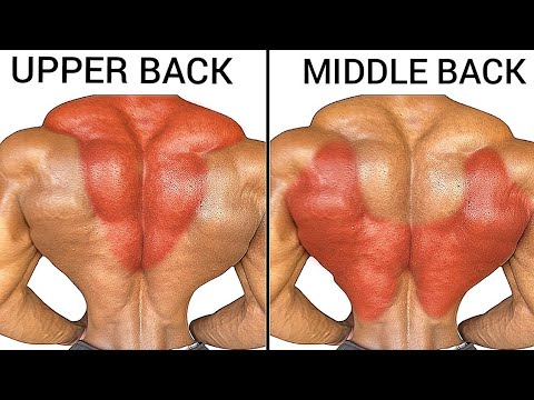 Top 4 Back and Traps Workout to Build Upper Back and Middle Back