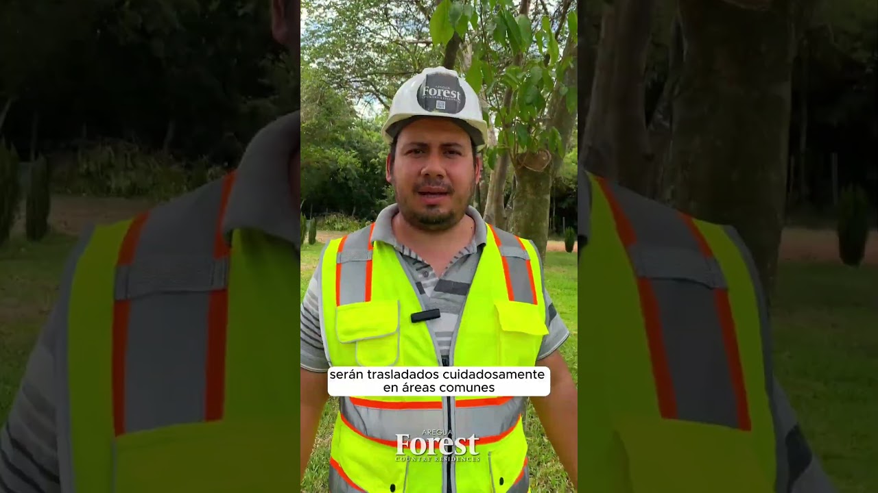 Avances de Obra — Diciembre 2024