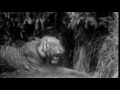 NASTRADOOMUS FULL ALBUM NASTRADOOMUS FULL ALBUM