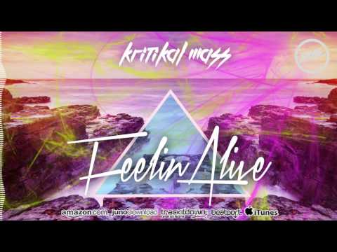 DNZ152 // KRITIKAL MASS - FEELIN ALIVE (Official Video DNZ RECORDS)
