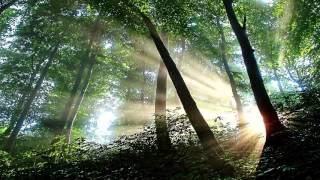 Sons of Korah Psalm 42b