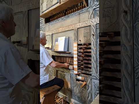 Hildegard von Bingen : « Spiritus Sanctus Vivificans Vita » Frédéric Muñoz à l'Orgue de Saint-Savin